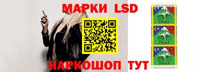 МДПВ Донецк